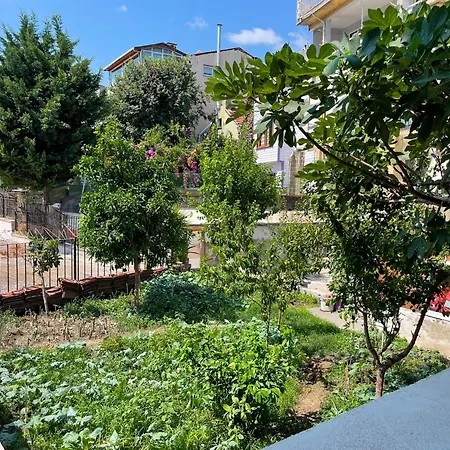 מלון Lina Oldcity